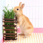 Rabbit Hay Feeder Rack Apple Wood Grass Holder Natural Food Rack Small Pet V528-GRASS-RACK-694722