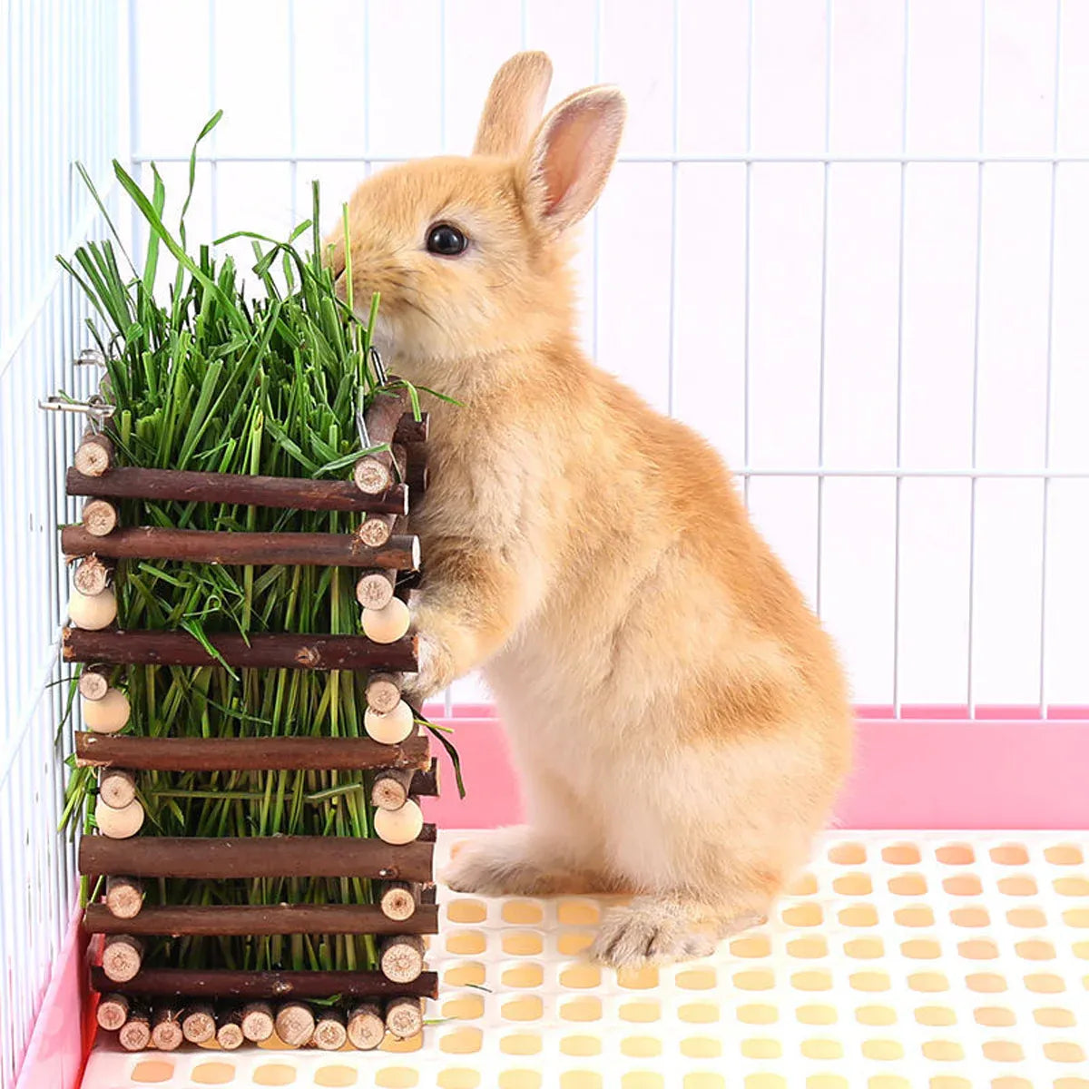 Rabbit Hay Feeder Rack Apple Wood Grass Holder Natural Food Rack Small Pet V528-GRASS-RACK-694722