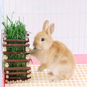 Rabbit Hay Feeder Rack Apple Wood Grass Holder Natural Food Rack Small Pet V528-GRASS-RACK-694722