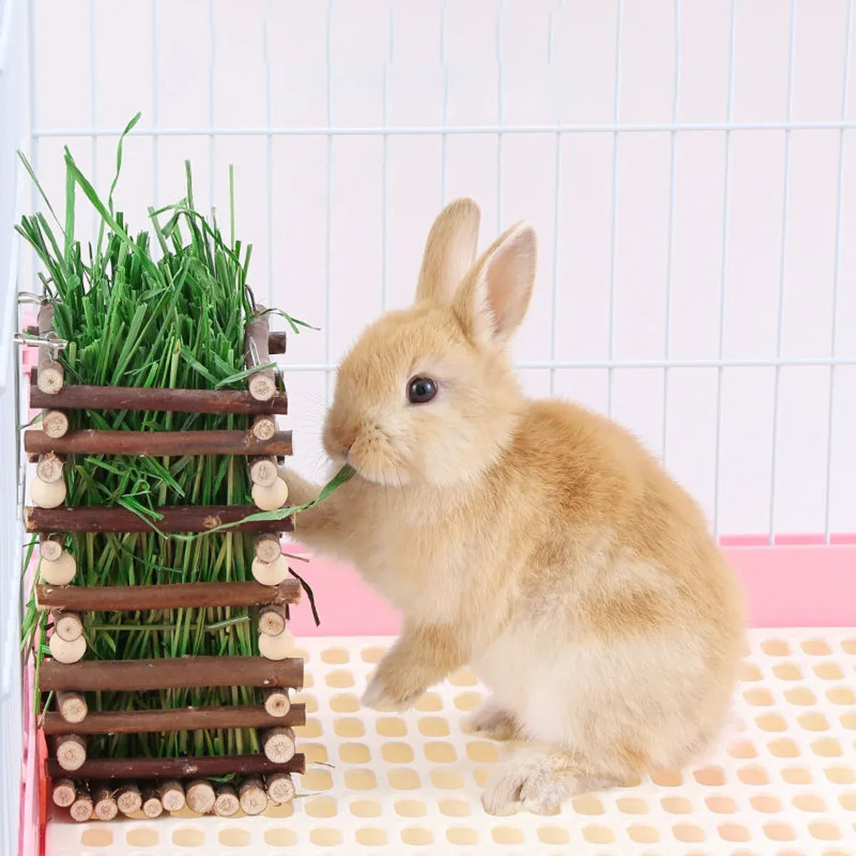 Rabbit Hay Feeder Rack Apple Wood Grass Holder Natural Food Rack Small Pet V528-GRASS-RACK-694722