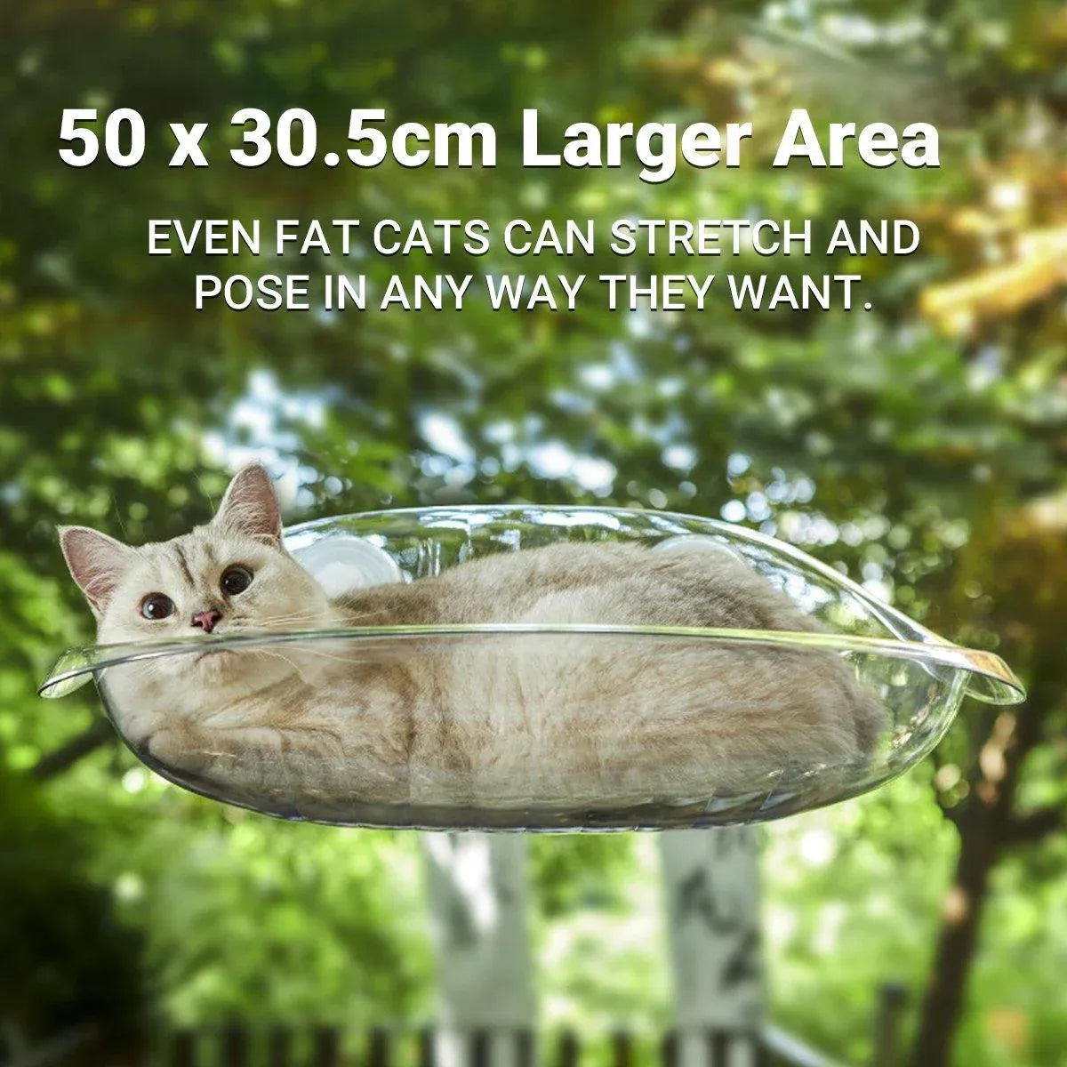 Cat Hammock Bed Glass Hanging Basket Clear Pet Nest Elevated Sleeping Bed - White V528-HAMMOCK-WHITE-479223