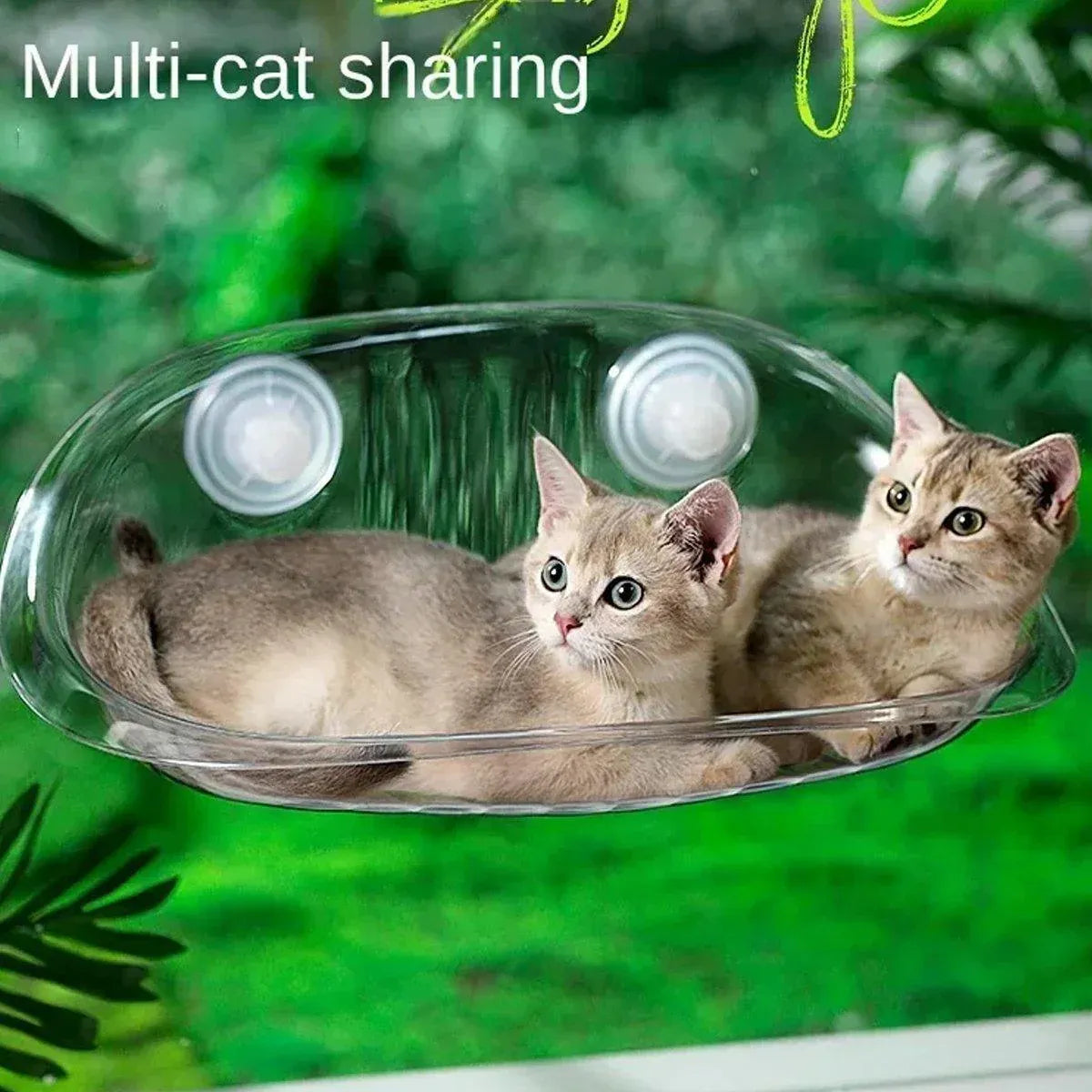 Cat Hammock Bed Glass Hanging Basket Clear Pet Nest Elevated Sleeping Bed - White V528-HAMMOCK-WHITE-479223