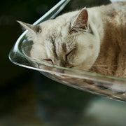 Cat Hammock Bed Glass Hanging Basket Clear Pet Nest Elevated Sleeping Bed - White V528-HAMMOCK-WHITE-479223