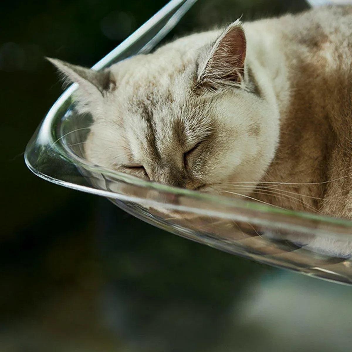 Cat Hammock Bed Glass Hanging Basket Clear Pet Nest Elevated Sleeping Bed - White V528-HAMMOCK-WHITE-479223