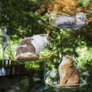 Cat Hammock Bed Glass Hanging Basket Clear Pet Nest Elevated Sleeping Bed - White V528-HAMMOCK-WHITE-479223