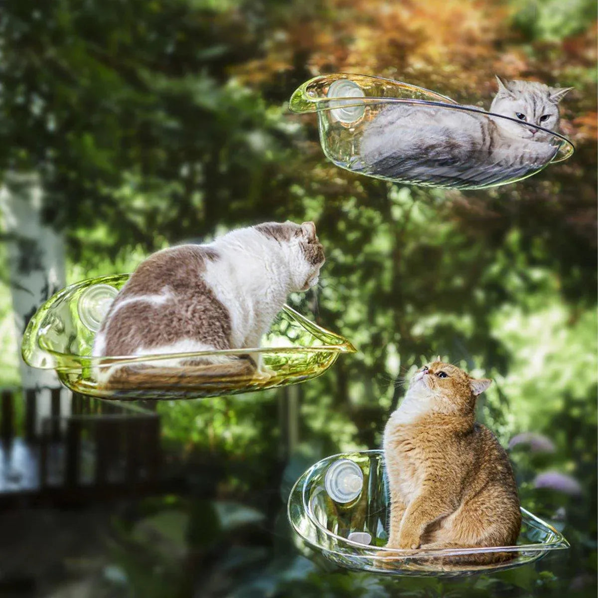 Cat Hammock Bed Glass Hanging Basket Clear Pet Nest Elevated Sleeping Bed - White V528-HAMMOCK-WHITE-479223