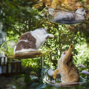 Cat Hammock Bed Glass Hanging Basket Clear Pet Nest Elevated Sleeping Bed - White V528-HAMMOCK-WHITE-479223