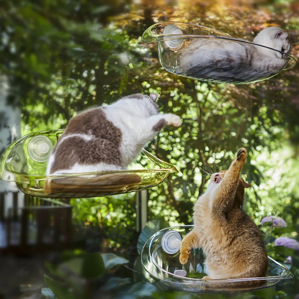 Cat Hammock Bed Glass Hanging Basket Clear Pet Nest Elevated Sleeping Bed - White V528-HAMMOCK-WHITE-479223