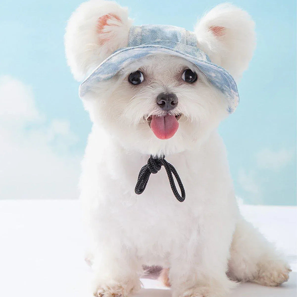 Adjustable Pet Hat with Cute Leaky Ears Sunscreen Fisherman Hat Four Seasons Use - Yellow - M V528-HAT-YELLOW-M-183406
