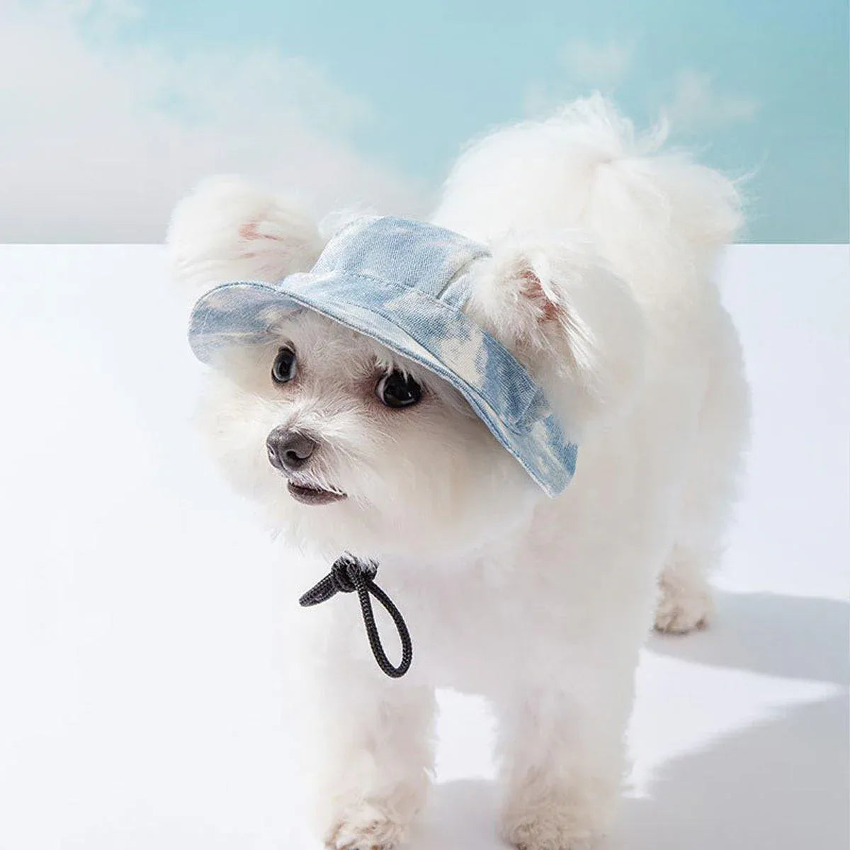 Adjustable Pet Hat with Cute Leaky Ears Sunscreen Fisherman Hat Four Seasons Use - Yellow - M V528-HAT-YELLOW-M-183406