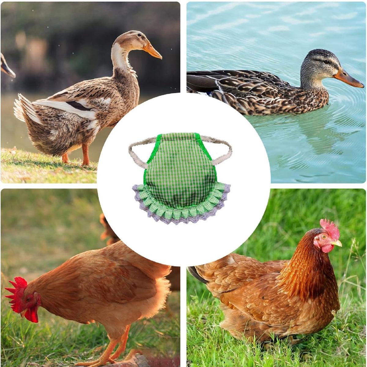 5pcs Pet Feather Protector Hen Apron Poultry Protection Apron for Chickens Birds V528-HEN-SADDLE-5PCS-273149