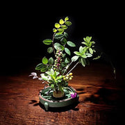 Round Flower Base Holder Spiky Frog Fixed Tool Floral Arrange For Ikebana Kenzan V528-HOLDER-34MM-871134