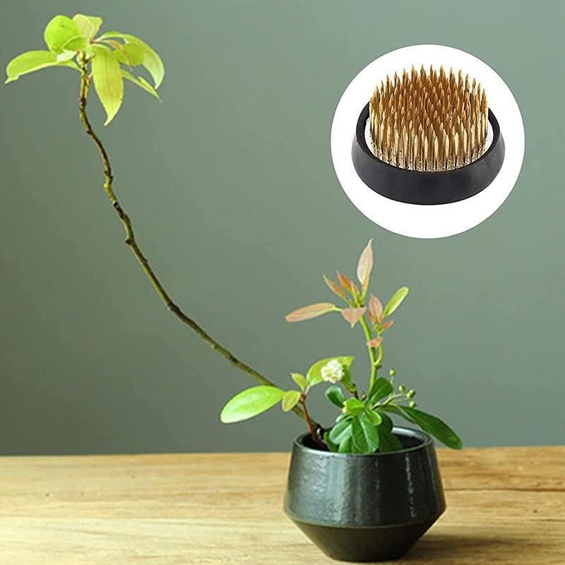 Round Flower Base Holder Spiky Frog Fixed Tool Floral Arrange For Ikebana Kenzan V528-HOLDER-34MM-871134
