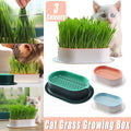 Catnip Hydroponic Box with Cat Snacks Growing Kit for Cats Fresh Catnip Bowl - Blue V528-HYDROPONIC-CELL-BLUE-808464