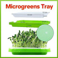 Double Layer Microgreens Tray for Hydroponic Seeding Germination Wheatgrass V528-HYDROPONICTRAY-107825