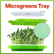 Double Layer Microgreens Tray for Hydroponic Seeding Germination Wheatgrass V528-HYDROPONICTRAY-107825