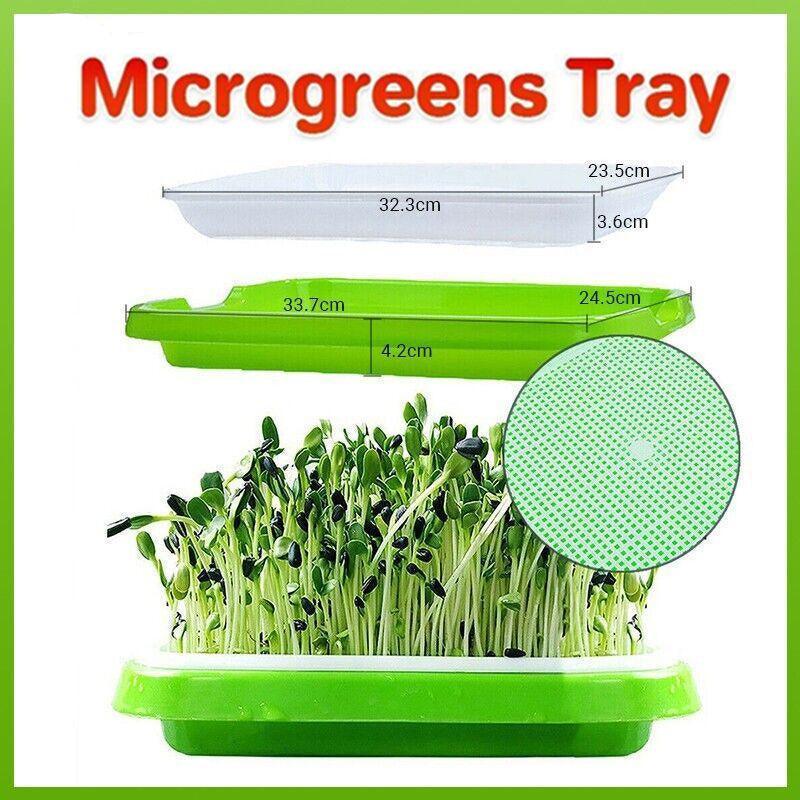Double Layer Microgreens Tray for Hydroponic Seeding Germination Wheatgrass V528-HYDROPONICTRAY-107825