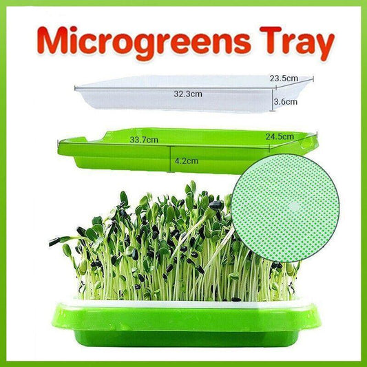 Double Layer Microgreens Tray for Hydroponic Seeding Germination Wheatgrass V528-HYDROPONICTRAY-107825