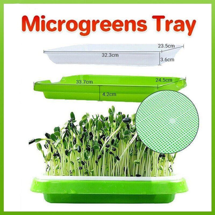 Double Layer Microgreens Tray for Hydroponic Seeding Germination Wheatgrass V528-HYDROPONICTRAY-107825