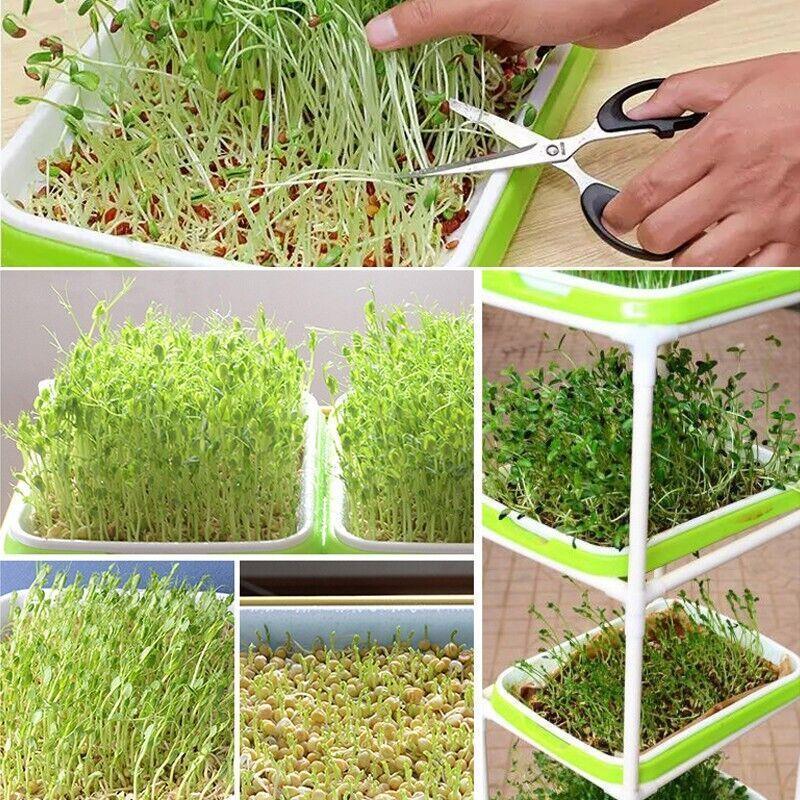 Double Layer Microgreens Tray for Hydroponic Seeding Germination Wheatgrass V528-HYDROPONICTRAY-107825