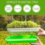 Double Layer Microgreens Tray for Hydroponic Seeding Germination Wheatgrass V528-HYDROPONICTRAY-107825