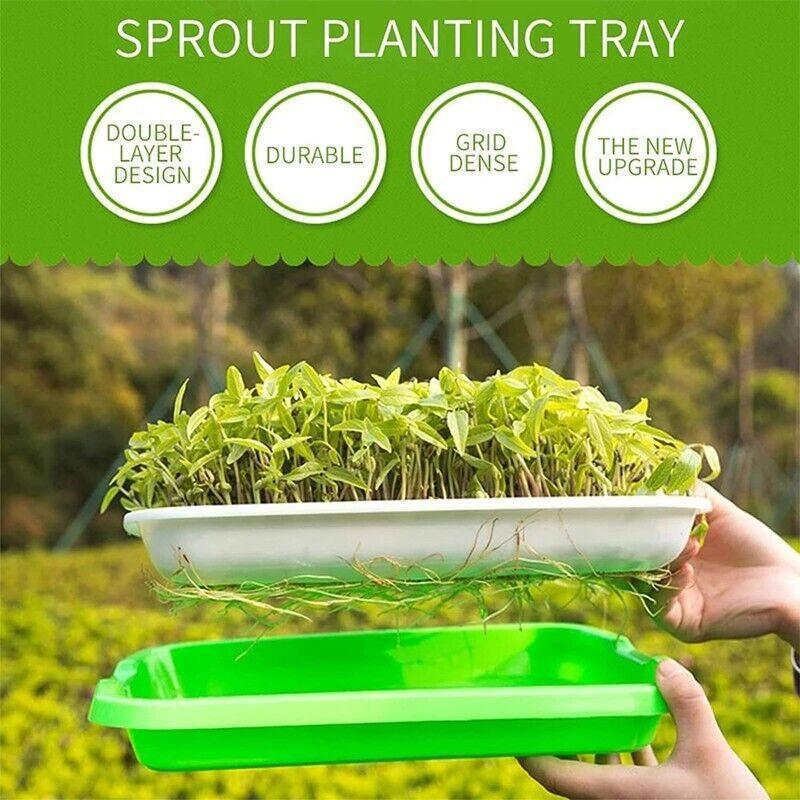 Double Layer Microgreens Tray for Hydroponic Seeding Germination Wheatgrass V528-HYDROPONICTRAY-107825