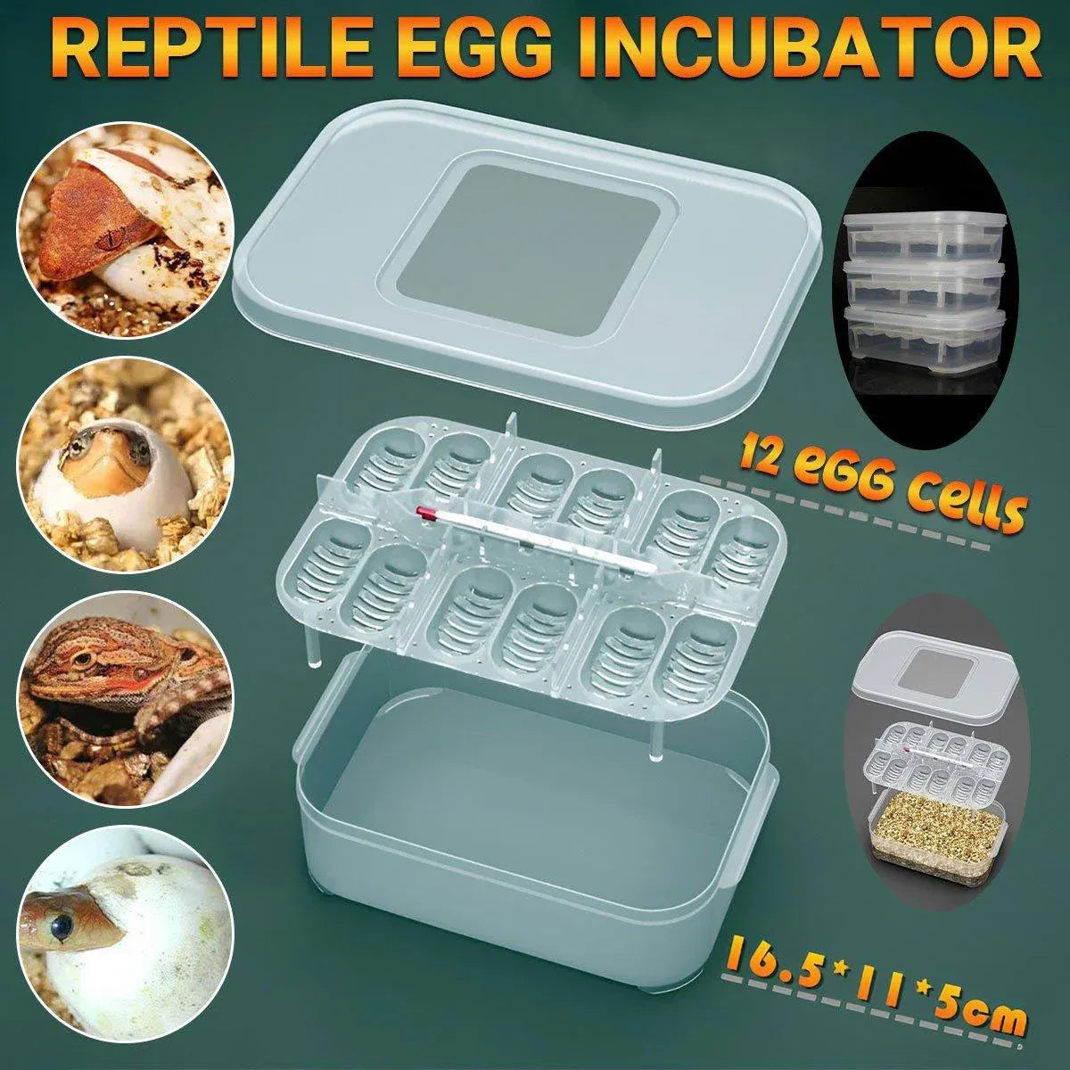 Reptile Pet Egg Incubator for Hatching High Quality Home Use Reptile Care V528-INCUBATOR-575890