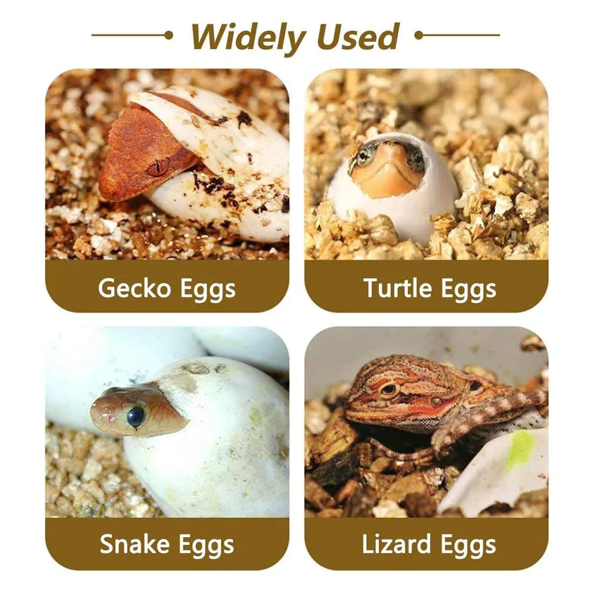 Reptile Pet Egg Incubator for Hatching High Quality Home Use Reptile Care V528-INCUBATOR-575890