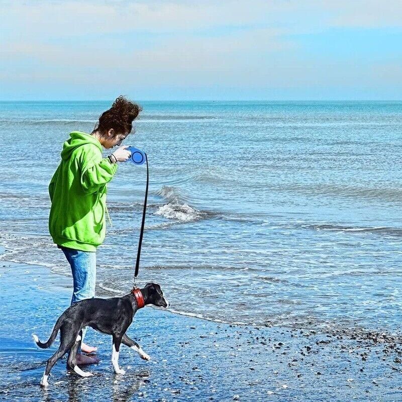 5M Dog Lead Leash Strong Retractable Extendable 5M Lockable Heavy Duty 15Kg - Green V528-LEASH-GREEN-5M-57481