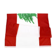 Large Lebanon Lebanese Flag Heavy Duty Outdoor Lb 90X150Cm - 3X5Ft V528-LEBANESEFLAG-632358