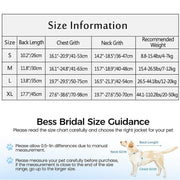 Pet Life Jacket Dog Swim Vest Outdoor Water Gear for Summer Swimming Activities - Grey M V528-LIFE-JACKET-GREY-M-740950