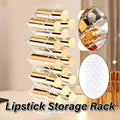 Fish Shaped Vertical Lipstick Storage Display Rack Cosmetic Organizer Holder Box V528-LIPSTICK-STORAGE-RACK-28-131321