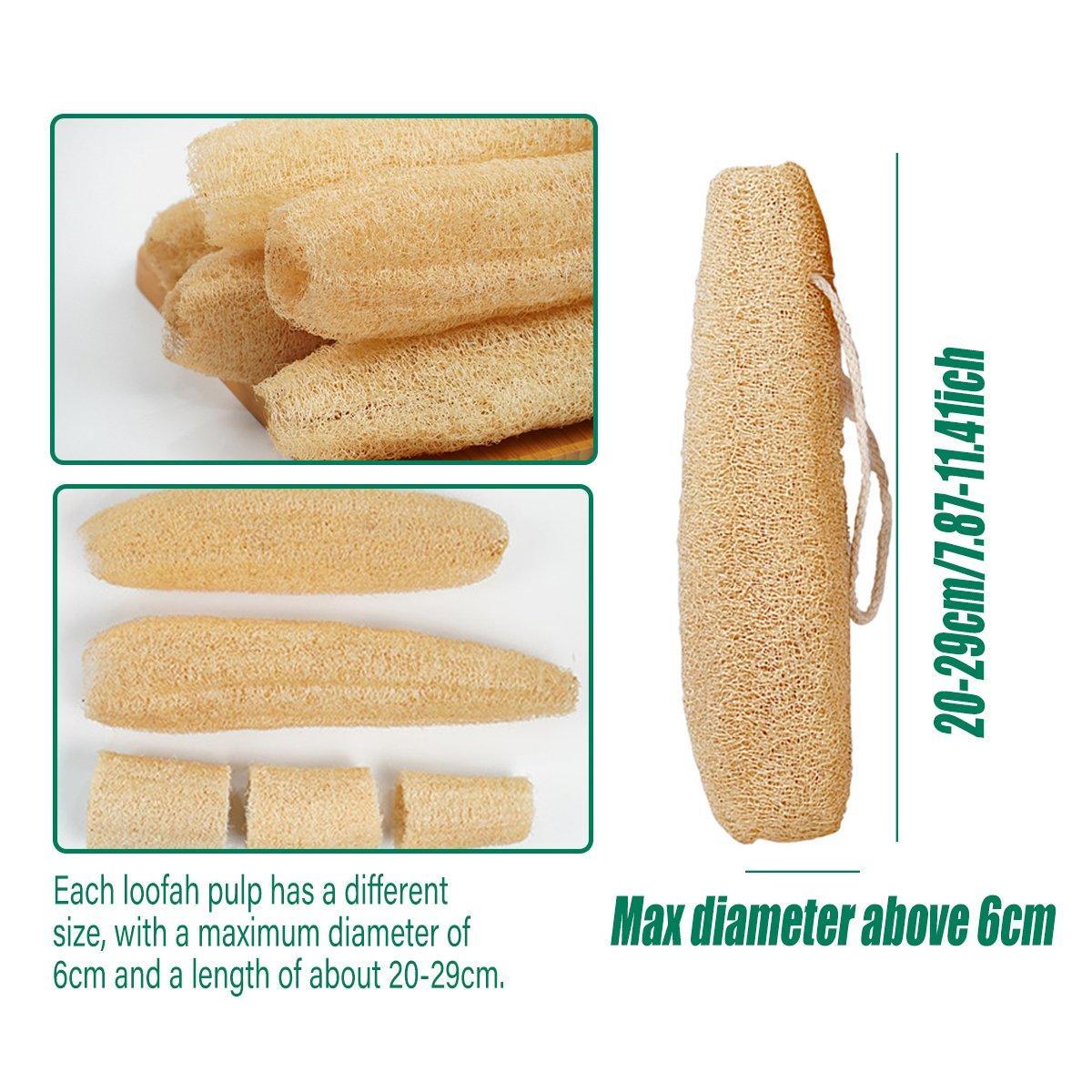 Natural Loofah Sponge Kitchen Scrubber for Dishwashing Pot Cleaning 5 Pack V528-LOOFAH-DISH-TOWEL-5PCS-725967