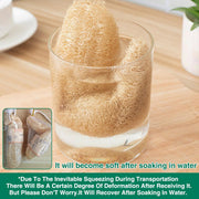 Natural Loofah Sponge Kitchen Scrubber for Dishwashing Pot Cleaning 5 Pack V528-LOOFAH-DISH-TOWEL-5PCS-725967
