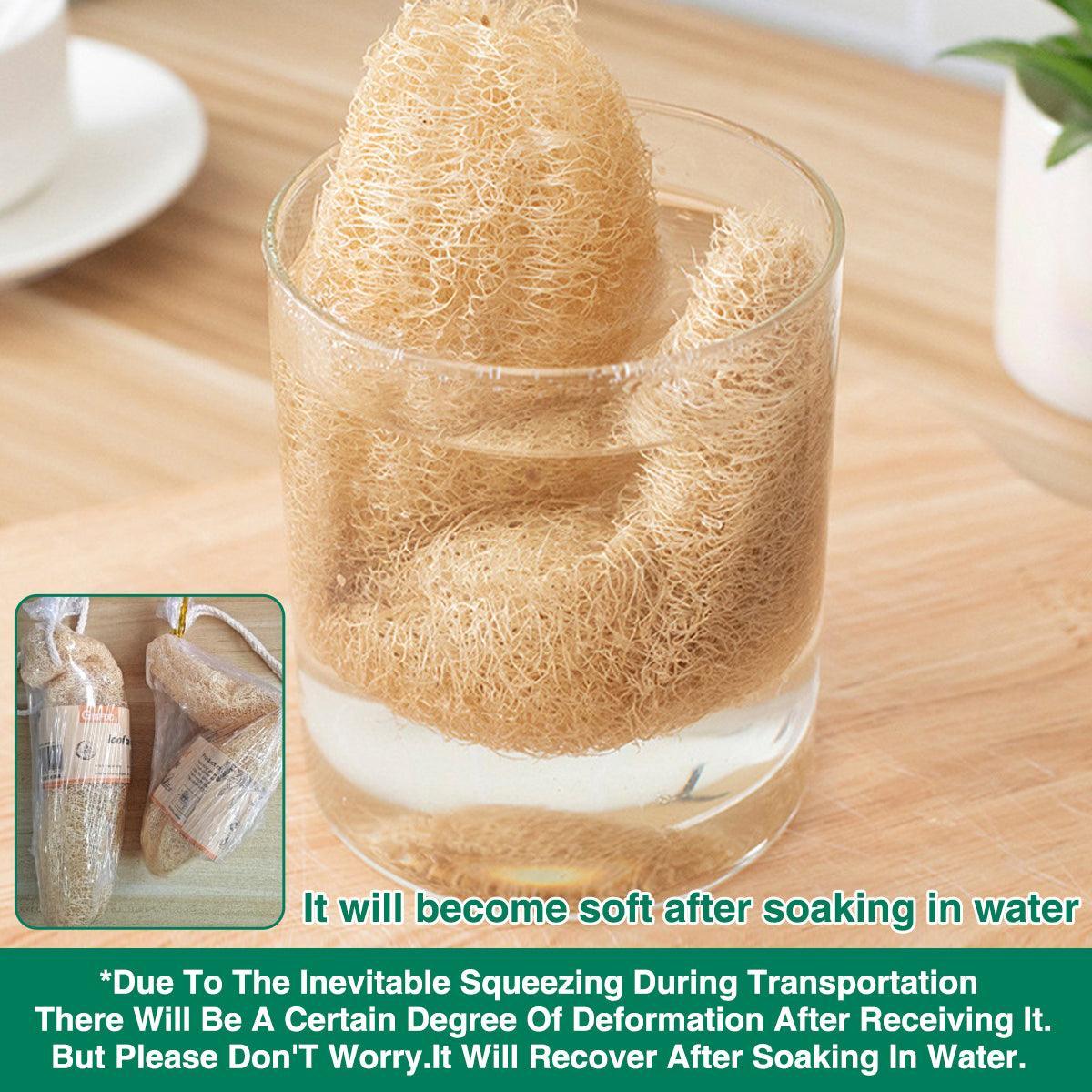 Natural Loofah Sponge Kitchen Scrubber for Dishwashing Pot Cleaning 5 Pack V528-LOOFAH-DISH-TOWEL-5PCS-725967