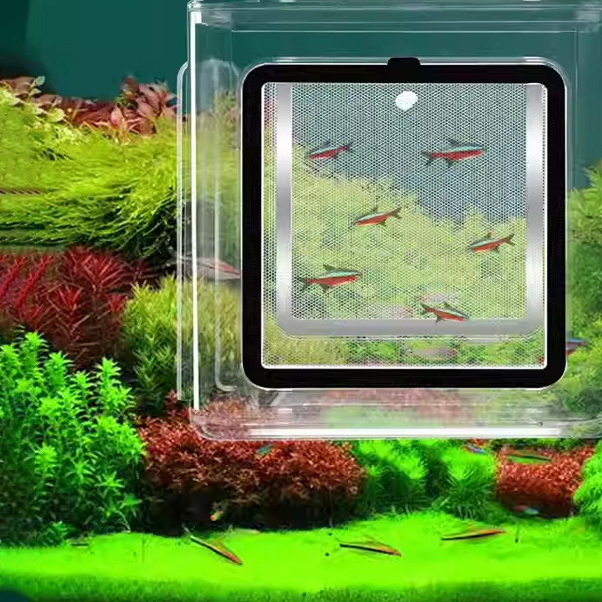 Acrylic Fish Isolation for Aquarium Guppy Fry Tropical Fish Breeding Growth Box V528-LSOLATION-BOX-1PC-589264