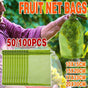 50/100PCS Garden Fruit Protection Net Bags Insect Proof Drawstring Mesh Organza - 50Pcs 10x15cm V528-MESHBAG-10X15CM-50PCS-62964