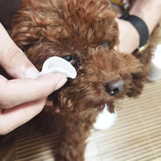 130pcs Wipes Wet Pet Eye/Ear Dog Cat Tear Stain Remover Cleaning Paper Wipes - Ear Wipes V528-MH00229-EBSJ-130PCS-831411