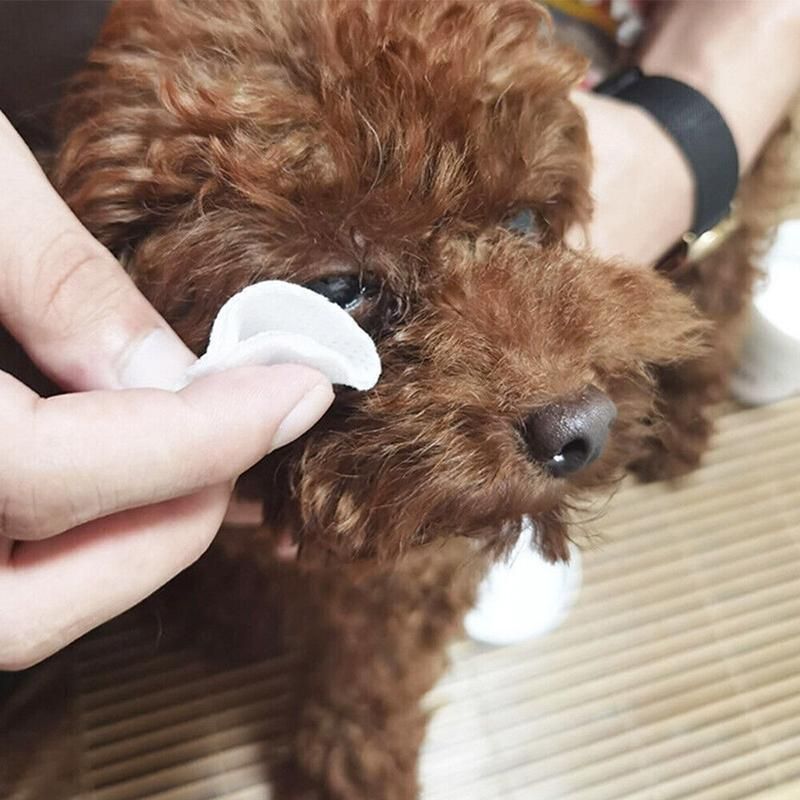 130pcs Wipes Wet Pet Eye/Ear Dog Cat Tear Stain Remover Cleaning Paper Wipes - Ear Wipes V528-MH00229-EBSJ-130PCS-831411