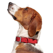 PVC Dog Collar Working Dog Kennels Waterproof Soft Adjustable for Pets M Size - Apricot V528-MH00300-APRICOT-M-322173