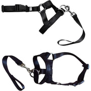 Black Dog Training Head Collar Halter Stop Pulling Training Tool Harness Strap Leader - S V528-MH00504-BLACK-S-312192