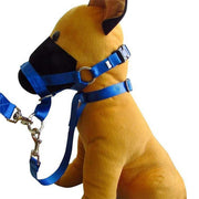 Black Dog Training Head Collar Halter Stop Pulling Training Tool Harness Strap Leader - S V528-MH00504-BLACK-S-312192