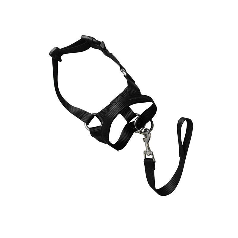 Black Dog Training Head Collar Halter Stop Pulling Training Tool Harness Strap Leader - S V528-MH00504-BLACK-S-312192