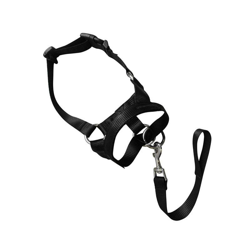 Black Dog Training Head Collar Halter Stop Pulling Training Tool Harness Strap Leader - S V528-MH00504-BLACK-S-312192