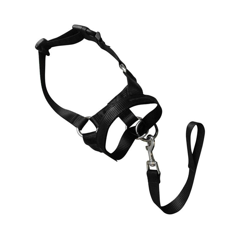 Black Dog Training Head Collar Halter Stop Pulling Training Tool Harness Strap Leader - S V528-MH00504-BLACK-S-312192