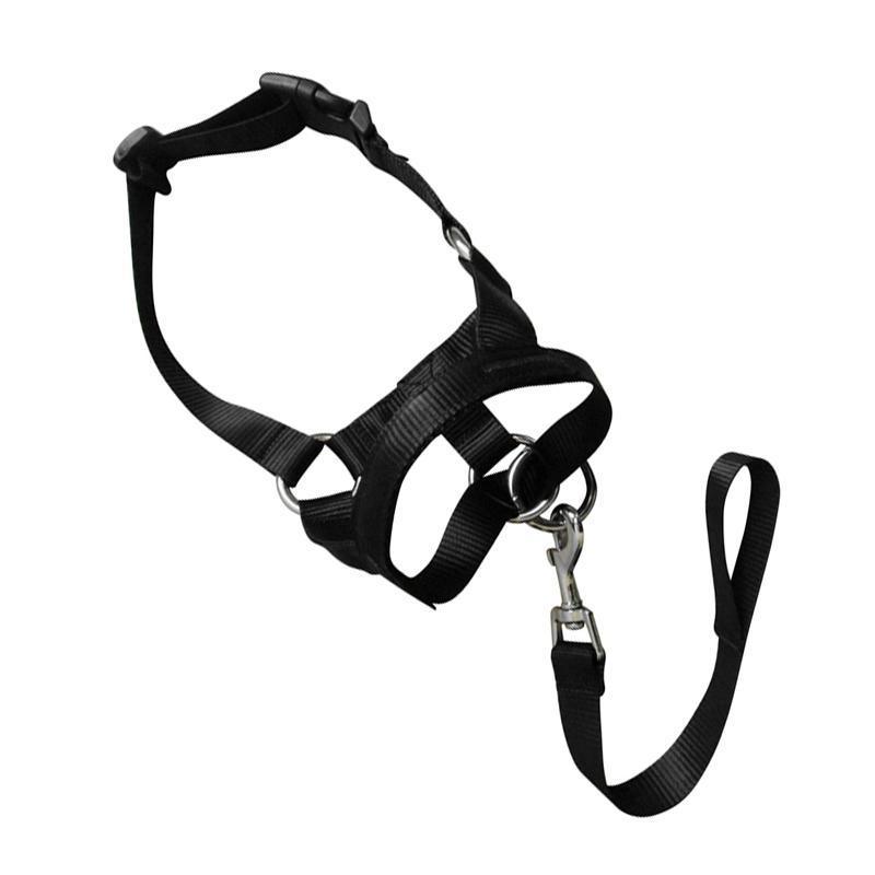 Black Dog Training Head Collar Halter Stop Pulling Training Tool Harness Strap Leader - S V528-MH00504-BLACK-S-312192
