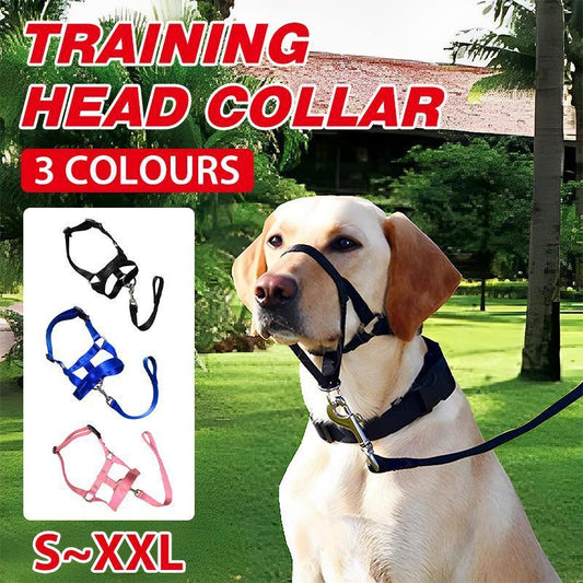 Black Dog Training Head Collar Halter Stop Pulling Training Tool Harness Strap Leader - M V528-MH00505-BLACK-M-473031