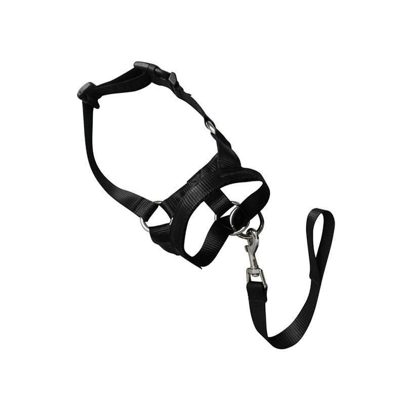 Black Dog Training Head Collar Halter Stop Pulling Training Tool Harness Strap Leader - L V528-MH00506-BLACK-L-675445