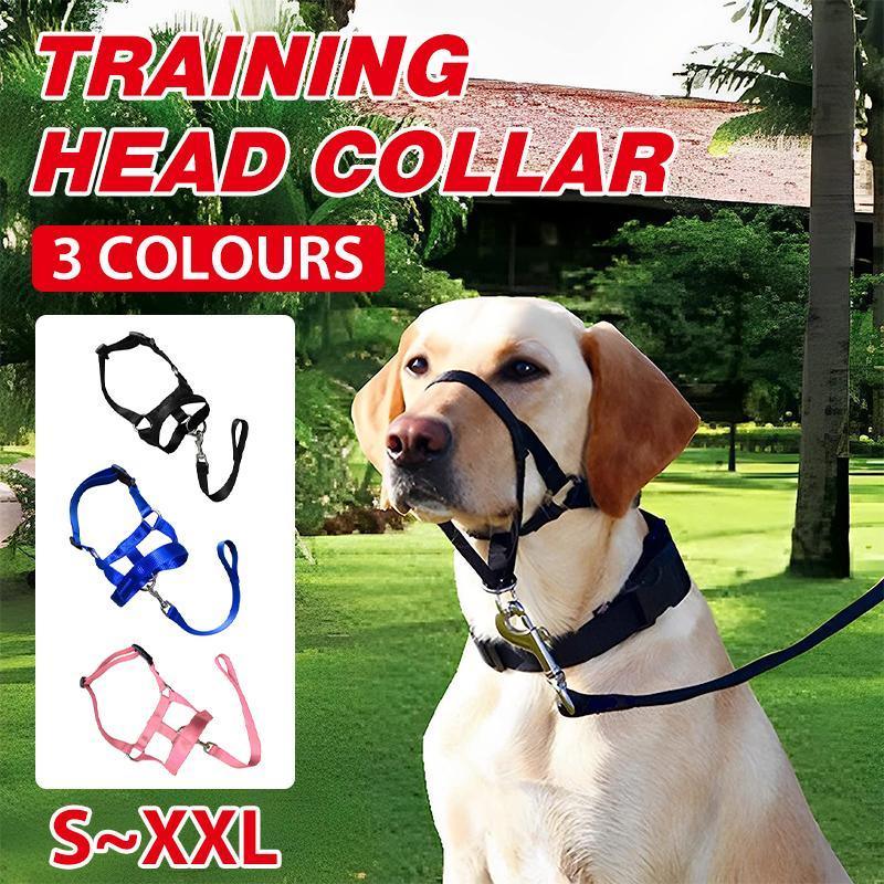 Pink Dog Training Head Collar Halter Stop Pulling Training Tool Harness Strap Leader - M V528-MH00510-PINK-M-142026