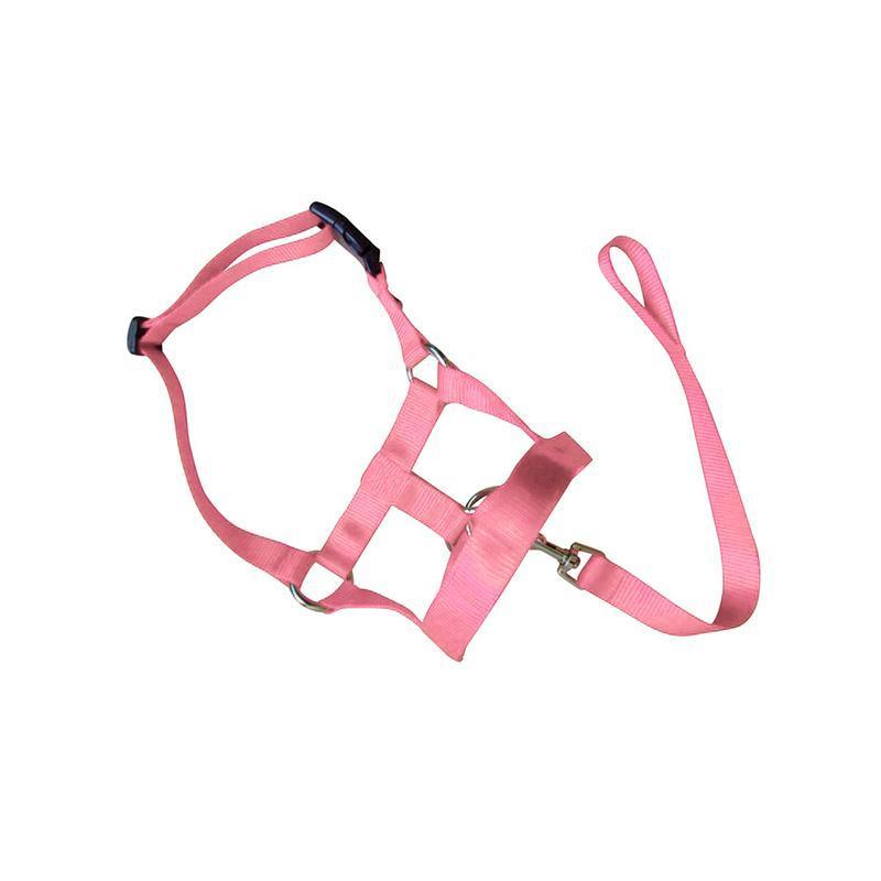 Pink Dog Training Head Collar Halter Stop Pulling Training Tool Harness Strap Leader - L V528-MH00511-PINK-L-809239